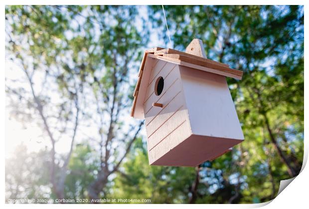 Wooden house for little birds hanging on a tree in a garden. Print by Joaquin Corbalan