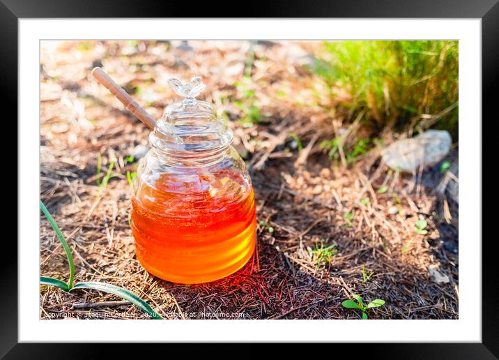 Honey provides a lot of natural energy in the form of glucose in tasty scoops. Framed Mounted Print by Joaquin Corbalan