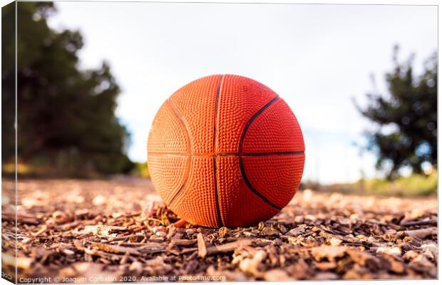 Small basketball ball on the ground of a forest. Canvas Print by Joaquin Corbalan