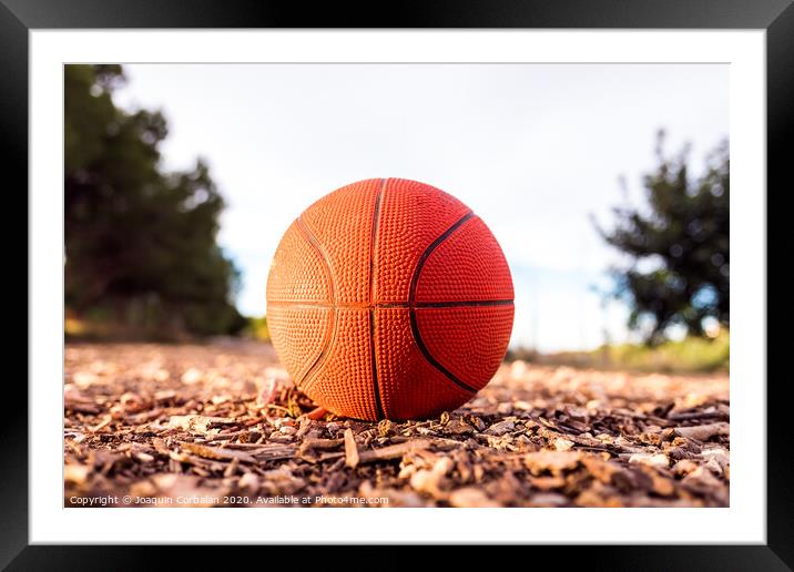 Small basketball ball on the ground of a forest. Framed Mounted Print by Joaquin Corbalan