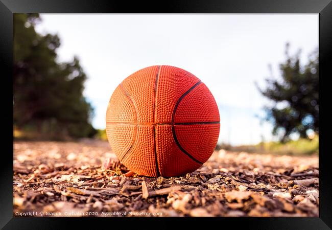 Small basketball ball on the ground of a forest. Framed Print by Joaquin Corbalan