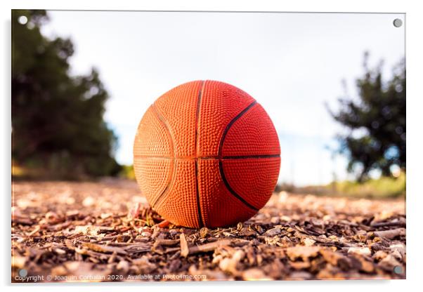 Small basketball ball on the ground of a forest. Acrylic by Joaquin Corbalan