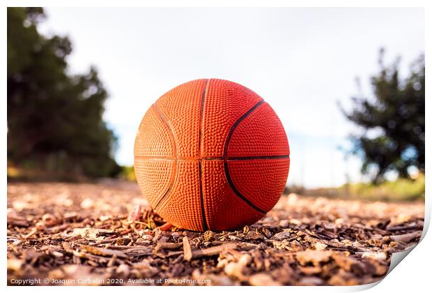 Small basketball ball on the ground of a forest. Print by Joaquin Corbalan