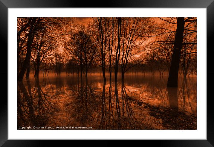 A tree next to a body of water Framed Mounted Print by samu z