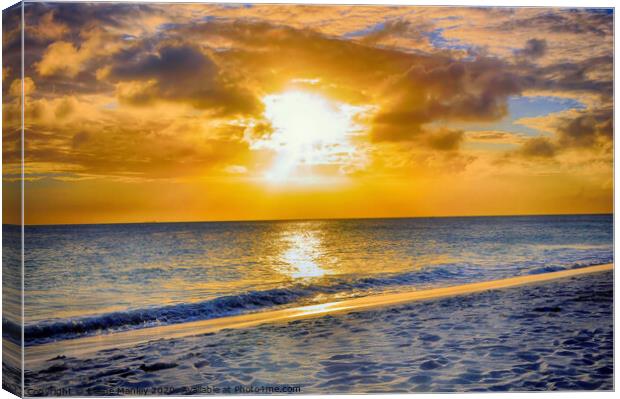 Golden Hour over the Ocean Canvas Print by Elaine Manley