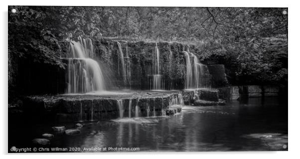 Nidd Falls Yorkshire Dales Acrylic by Chris Willman