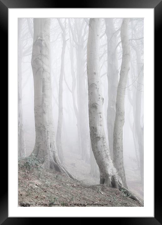 Misty Wood Framed Mounted Print by Martin Williams