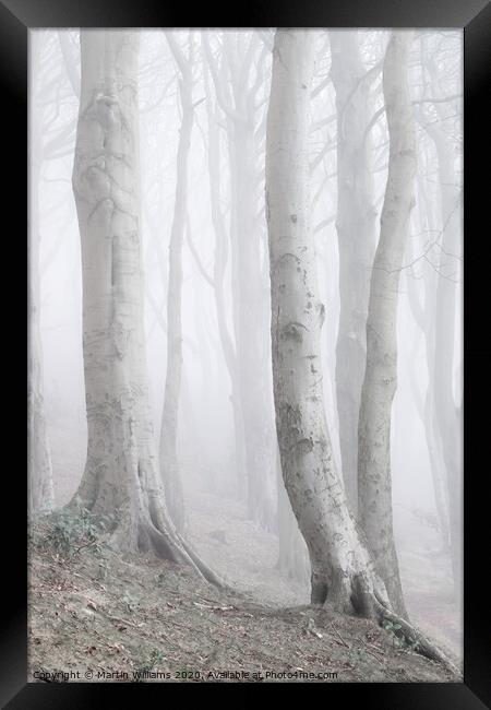 Misty Wood Framed Print by Martin Williams