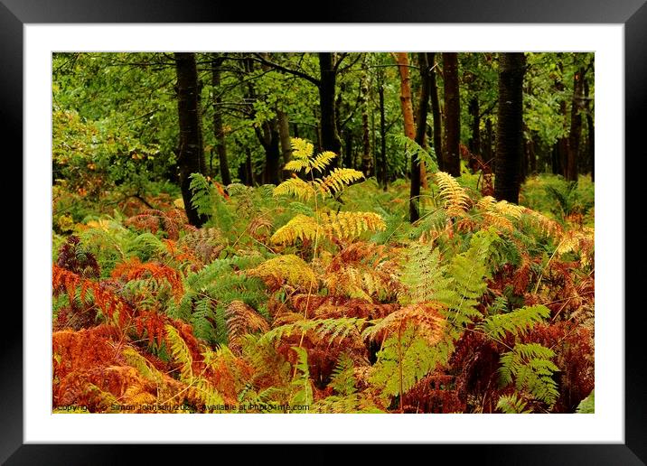 Woodland ferns Framed Mounted Print by Simon Johnson