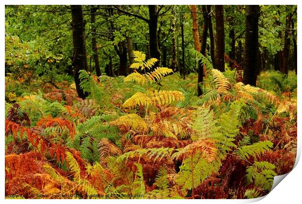 Woodland ferns Print by Simon Johnson