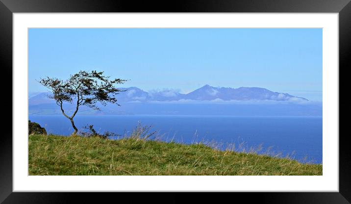 Lone tree and Isle of Arran Framed Mounted Print by Allan Durward Photography