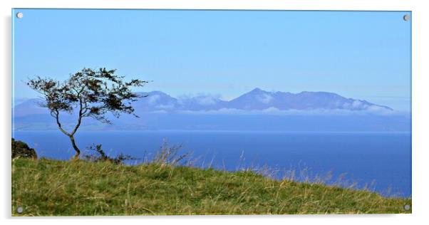 Lone tree and Isle of Arran Acrylic by Allan Durward Photography