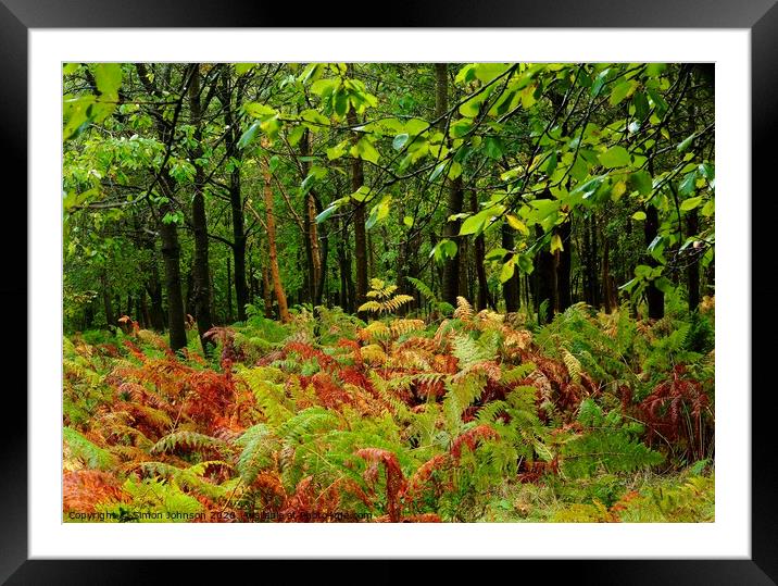 Woodland ferns Framed Mounted Print by Simon Johnson