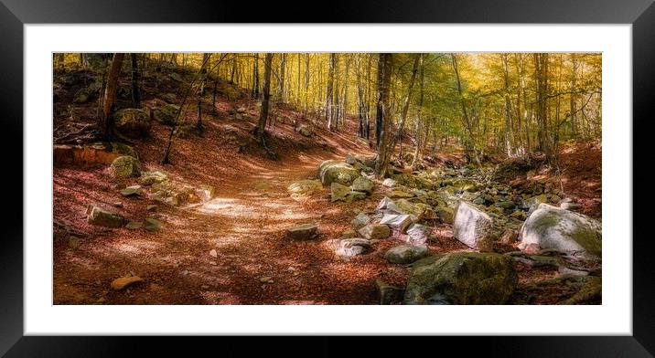Colorful beech forest in autumnal in mountain Mont Framed Mounted Print by Arpad Radoczy