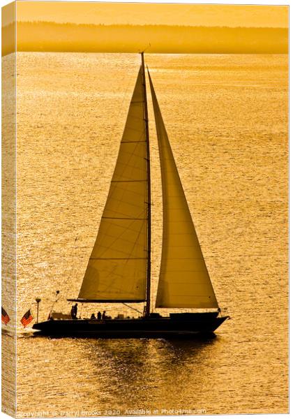 Sailboat in Golden Bay Canvas Print by Darryl Brooks