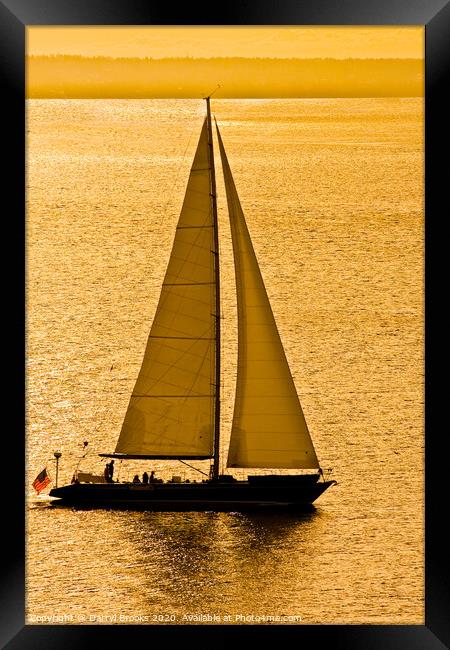 Sailboat in Golden Bay Framed Print by Darryl Brooks