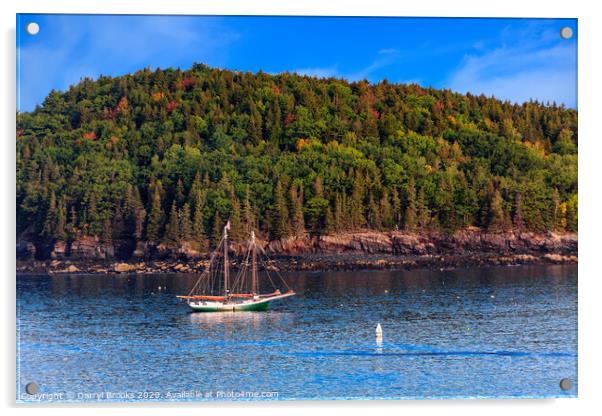 Schooner Past Maine Island Acrylic by Darryl Brooks