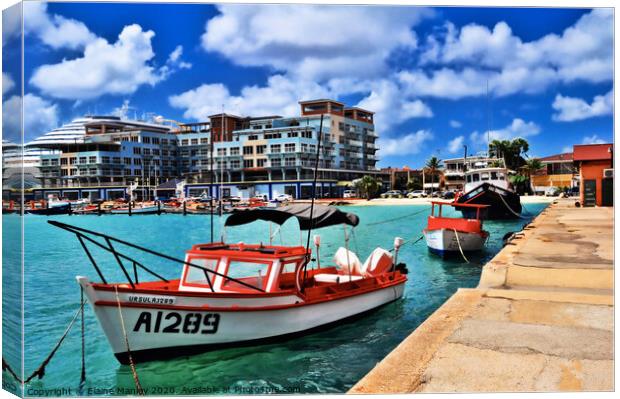 Oranjestad. Aruba Canvas Print by Elaine Manley