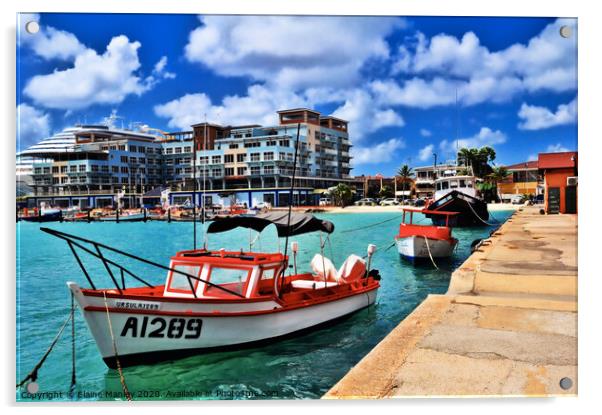 Oranjestad. Aruba Acrylic by Elaine Manley