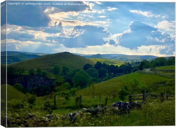 Majestic Chrome Hill Canvas Print by tammy mellor