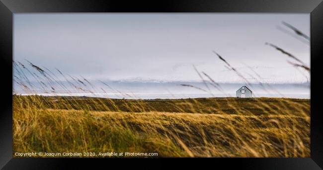 Icelandic landscapes full of green grass, sea and blue sky. Framed Print by Joaquin Corbalan