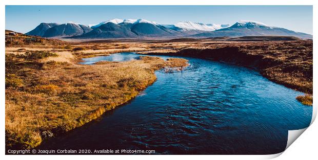 Icelandic landscapes full of green grass, sea and blue sky. Print by Joaquin Corbalan