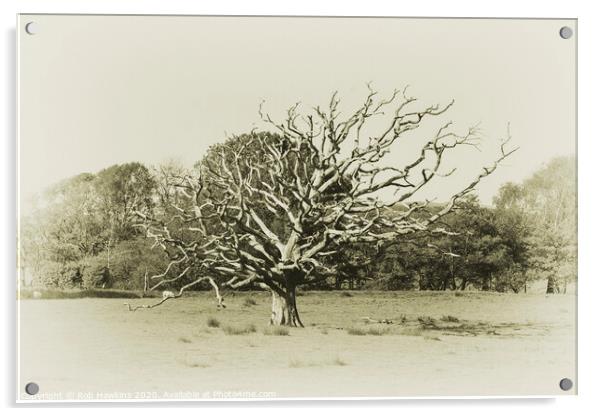 The Dead Tree  Acrylic by Rob Hawkins