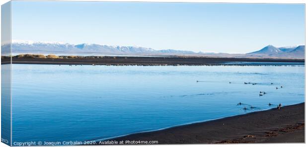 Flock of birds flying low on a calm lake with snowcapped mountains north of Europe. Canvas Print by Joaquin Corbalan