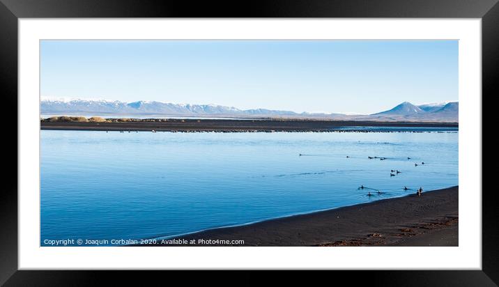 Flock of birds flying low on a calm lake with snowcapped mountains north of Europe. Framed Mounted Print by Joaquin Corbalan