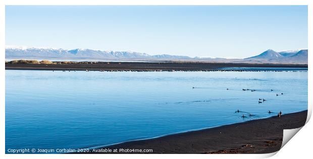 Flock of birds flying low on a calm lake with snowcapped mountains north of Europe. Print by Joaquin Corbalan