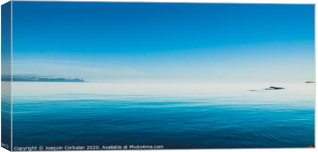Icelandic landscapes full of green grass, sea and blue sky. Canvas Print by Joaquin Corbalan
