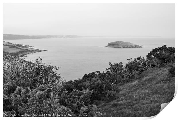 St George's Island, Looe Bay Print by Neil Mottershead