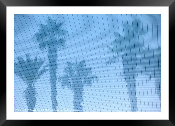 Palm Trees Reflections Framed Mounted Print by David Pyatt