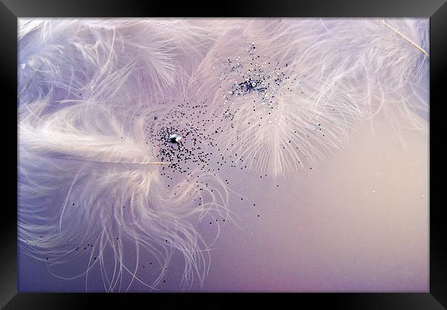 Feathers and Glitter Framed Print by Ann Garrett