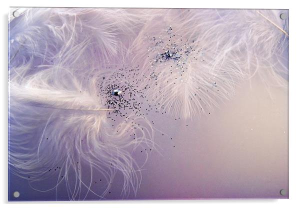 Feathers and Glitter Acrylic by Ann Garrett