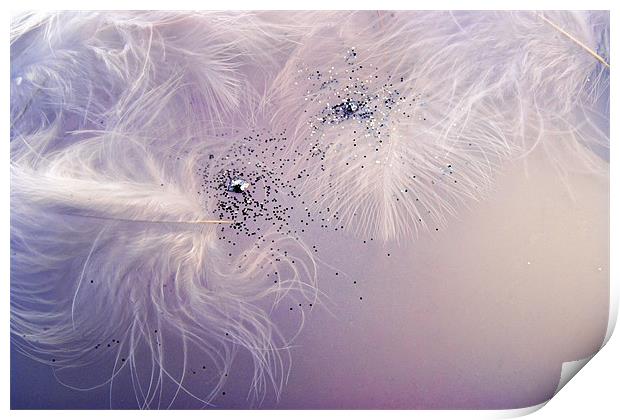 Feathers and Glitter Print by Ann Garrett