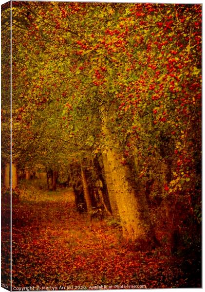 Artistic Autumn Woodland Canvas Print by Martyn Arnold