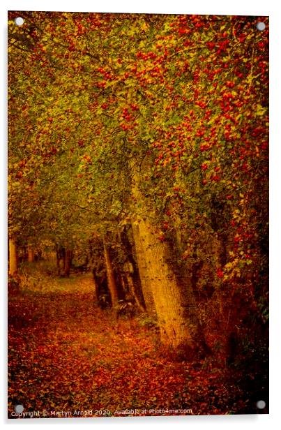 Artistic Autumn Woodland Acrylic by Martyn Arnold