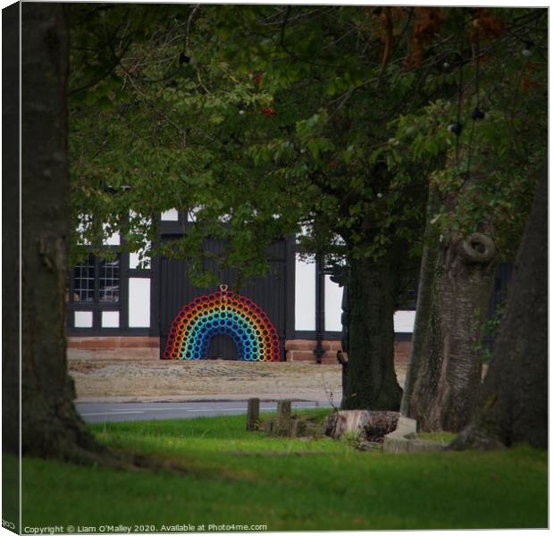 Smithy Rainbow through the Trees Canvas Print by Liam Neon