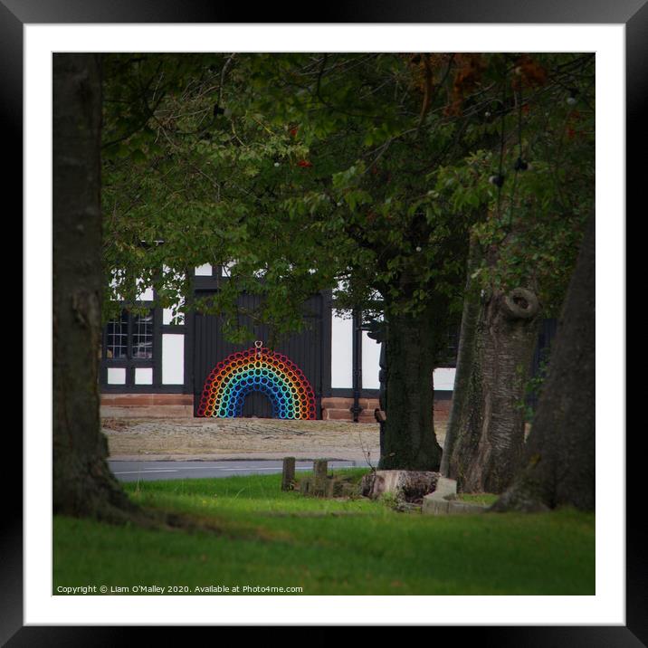 Smithy Rainbow through the Trees Framed Mounted Print by Liam Neon
