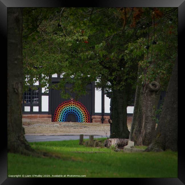 Smithy Rainbow through the Trees Framed Print by Liam Neon