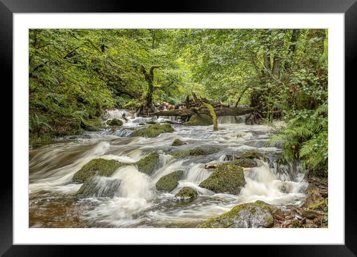 Horner Water in Flood Framed Mounted Print by Shaun Davey