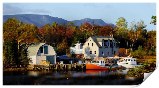 Tiny Village of Dingwall Nova Scotia Print by Elaine Manley