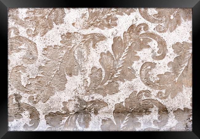 Floral design as background engraved in stone. Framed Print by Joaquin Corbalan