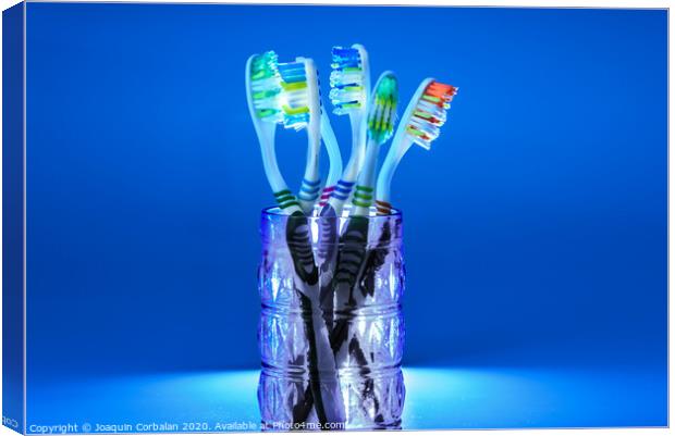 Many new plastic toothbrushes inside a glass, isolated on striking blue background, with copy space. Canvas Print by Joaquin Corbalan