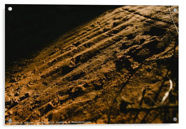 Golden sand texture in nature dune Acrylic by Joaquin Corbalan