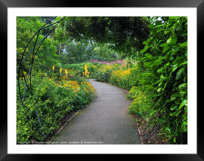 Garden Path Framed Mounted Print by Angela Cottingham
