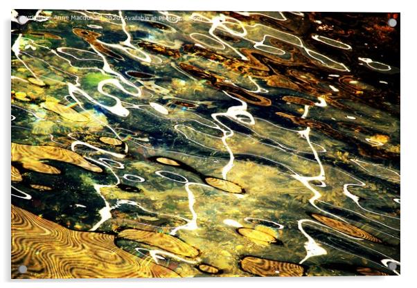 Reflections In Rippling Water Acrylic by Anne Macdonald