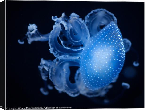 Blue motion jellyfish Canvas Print by Ingo Menhard