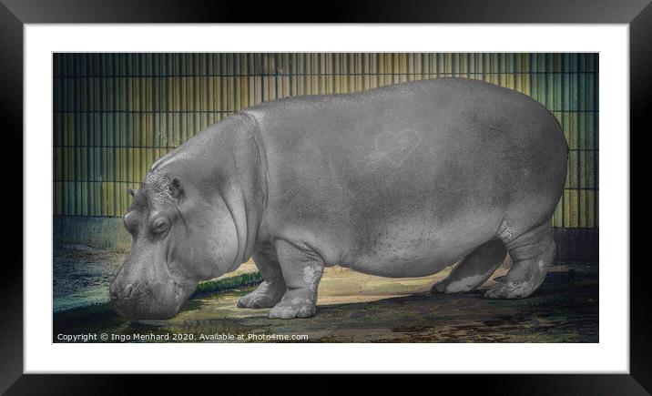 The hippo Framed Mounted Print by Ingo Menhard